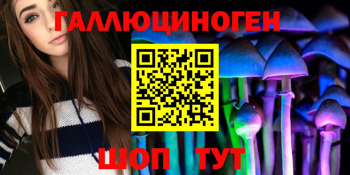 закладки  Галлюциногенные грибы MAGIC MUSHROOMS  Вход с VPN  Благодарный 