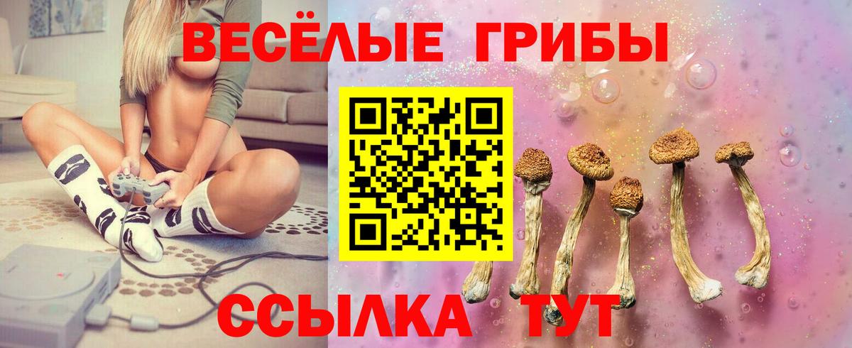 Псилоцибиновые грибы Magic Shrooms Благодарный